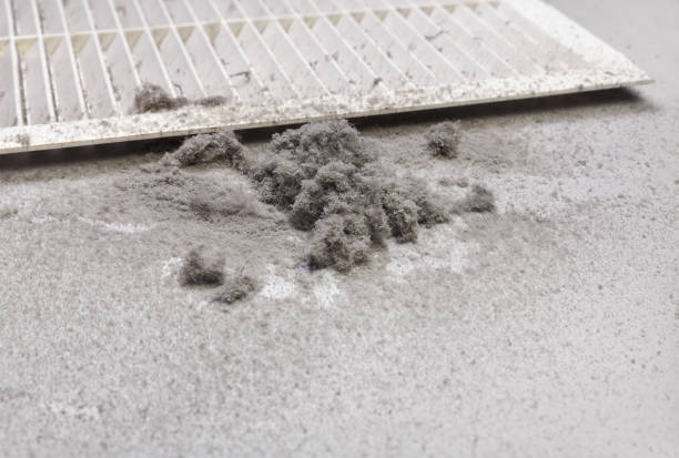 Best Residential Air Duct Cleaning  in Summerde, AL