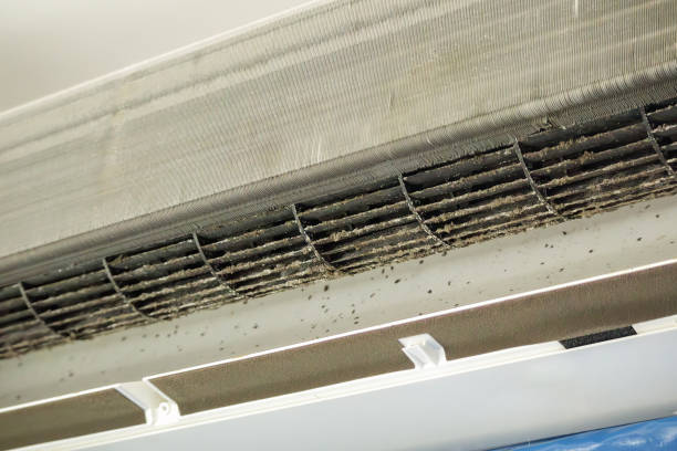 Best Commercial Air Duct Cleaning  in Summerde, AL